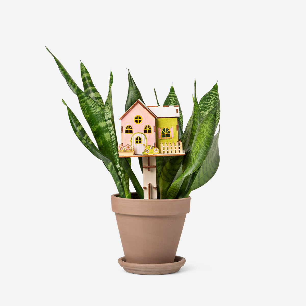 Build your own house