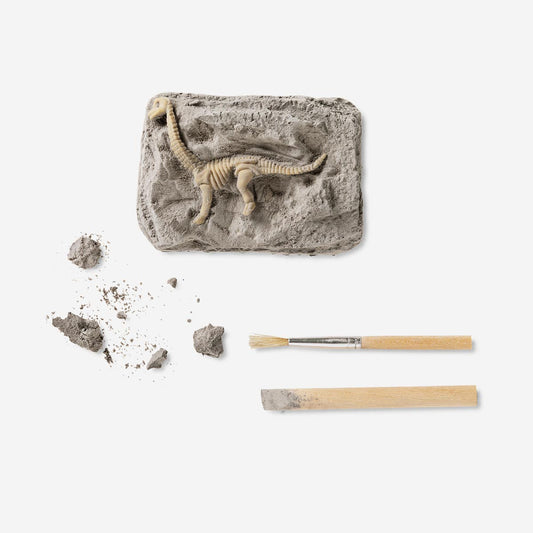 Excavation kit - Fossils