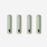 Rechargeable batteries. AAA
