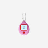 Retro digital pet eraser