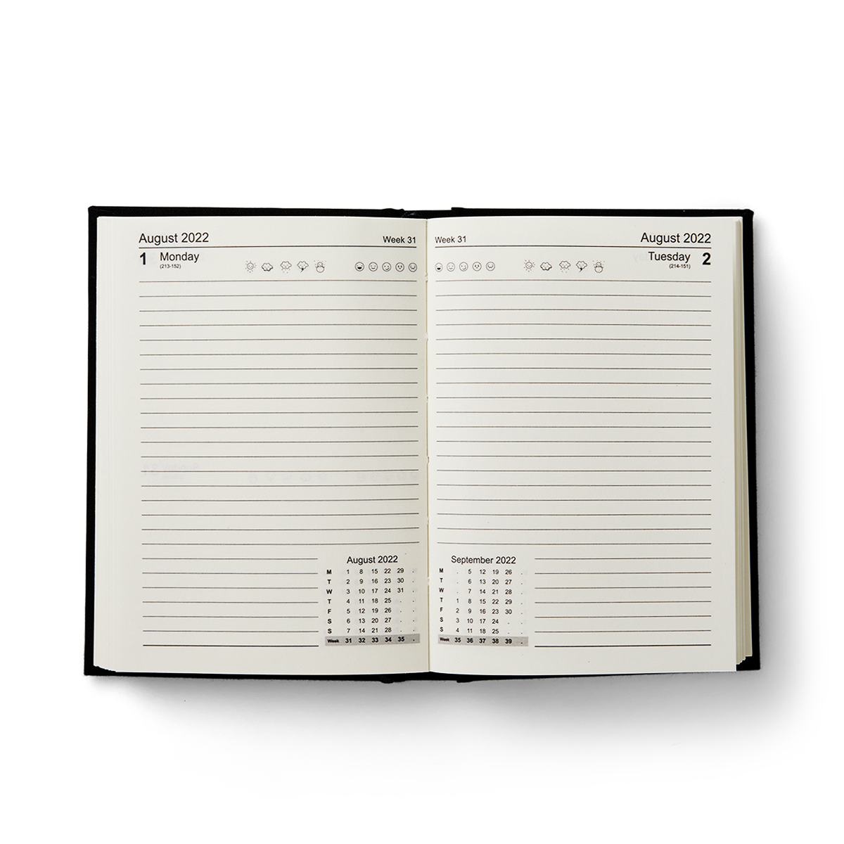Daily diary. A6
