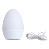 Humidifier