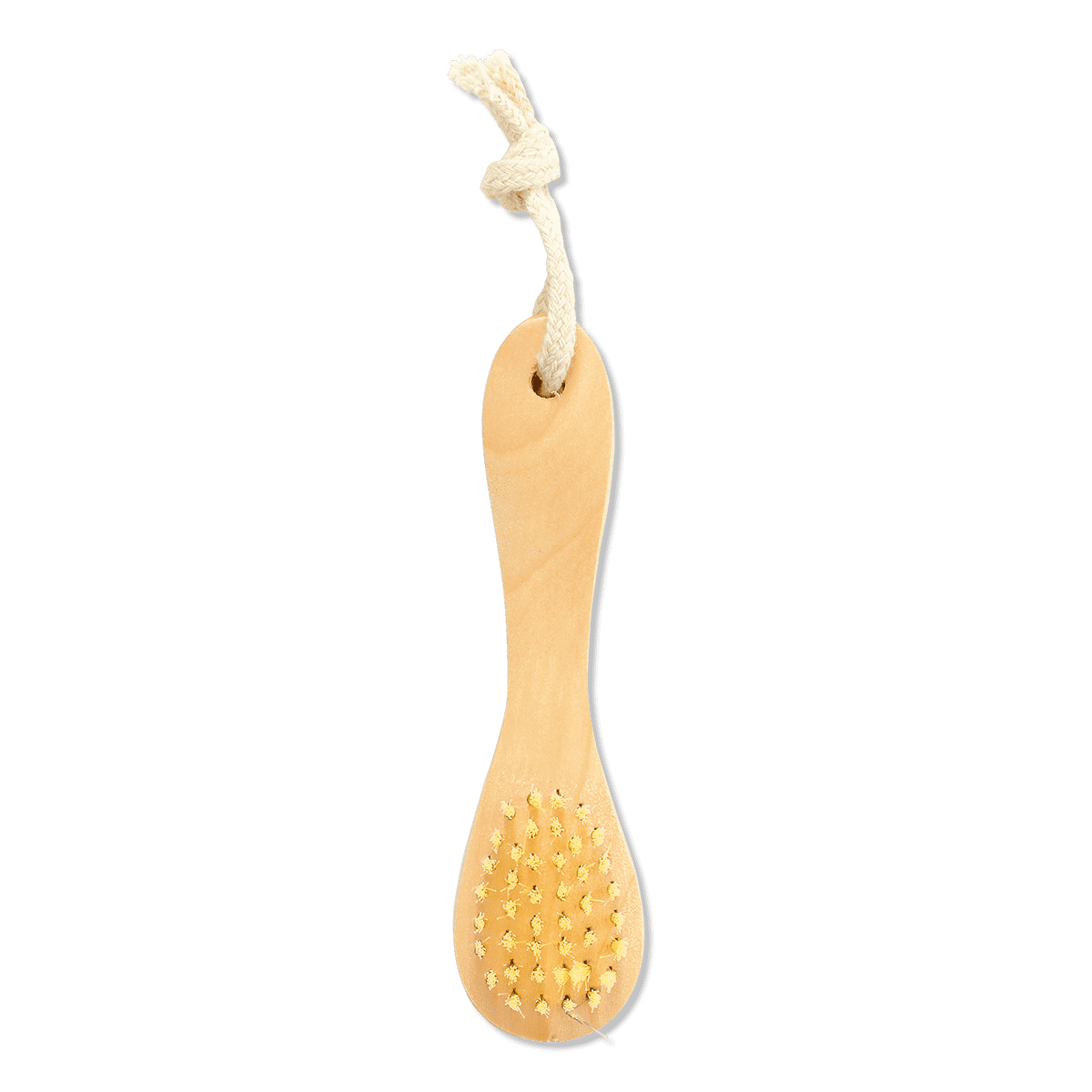 Dry brush. 13 cm