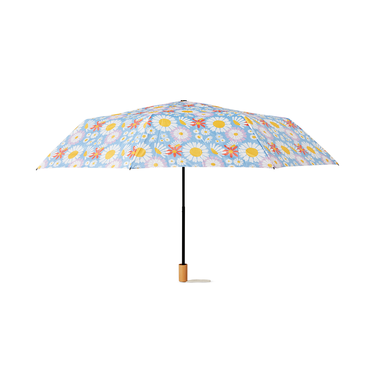 Umbrella