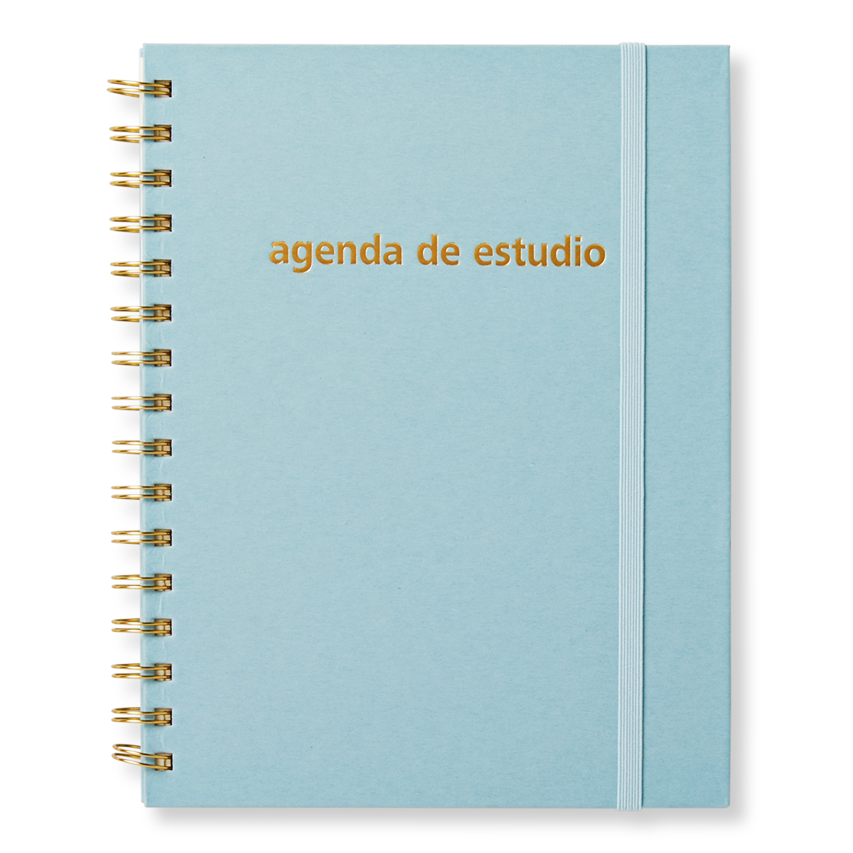 Study planner. Spanish