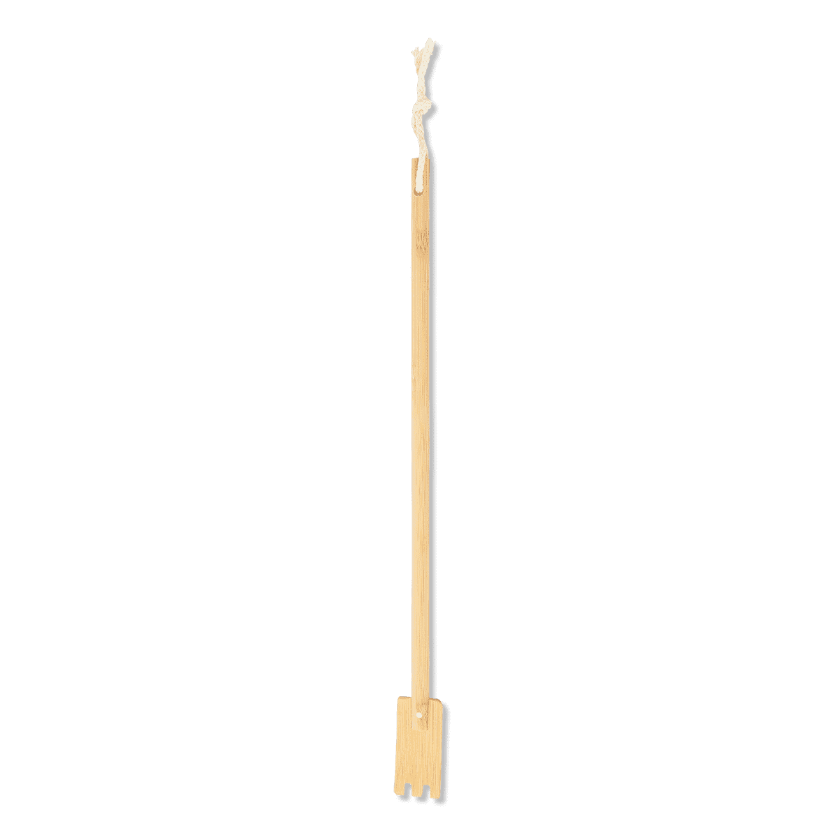 Backscratcher