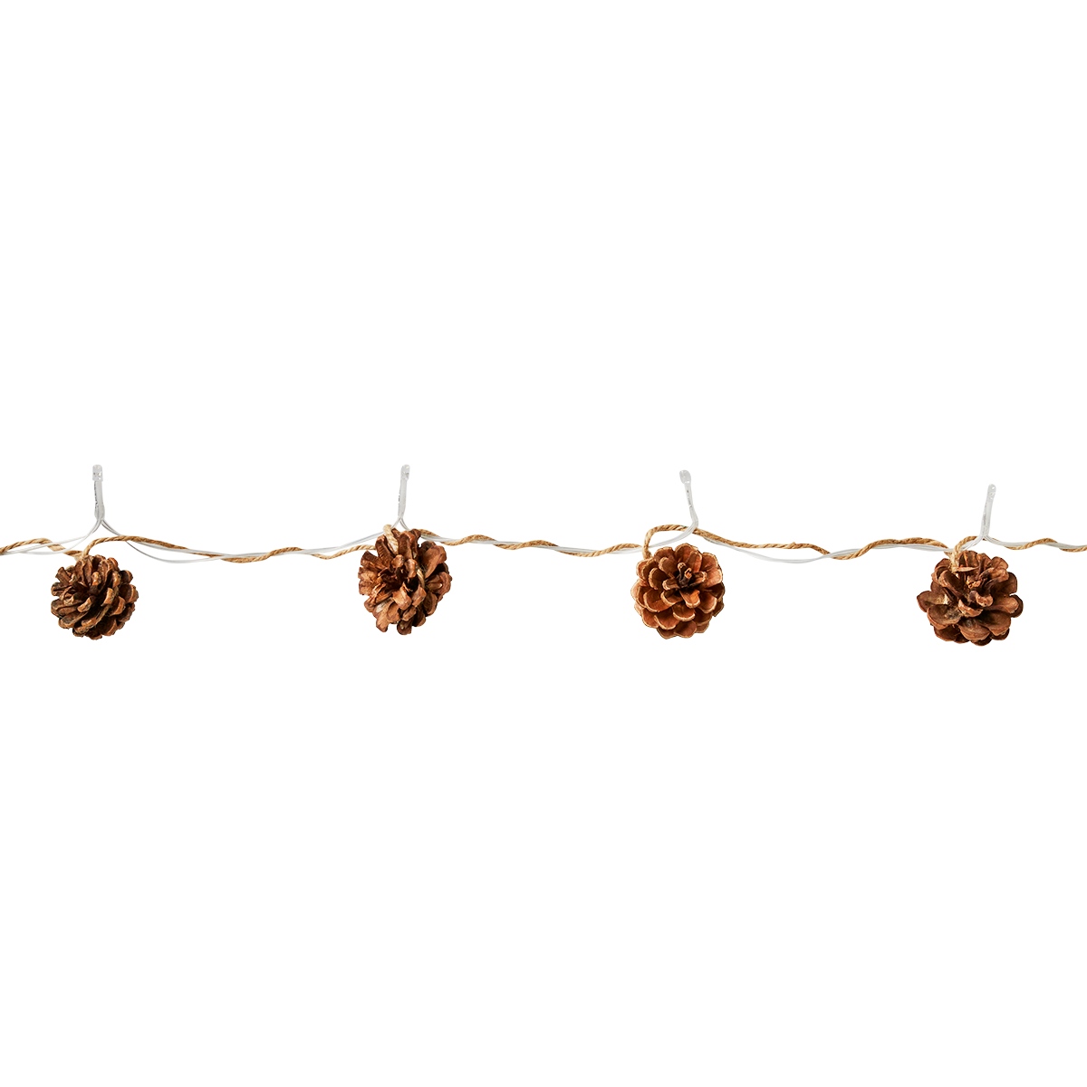 Light chain