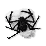 Cobweb