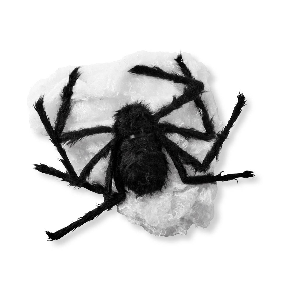 Cobweb