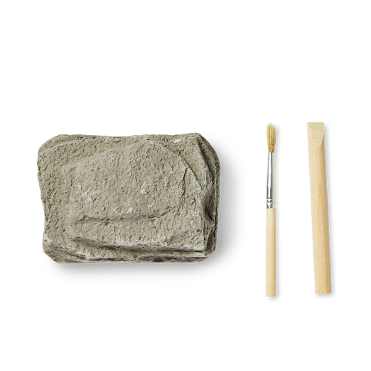Excavation kit