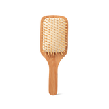 Hairbrush. Paddle