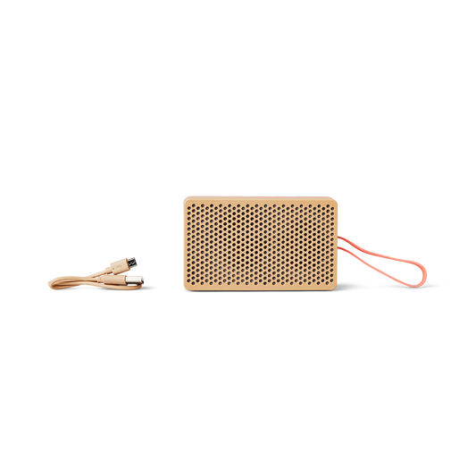 Wireless speaker