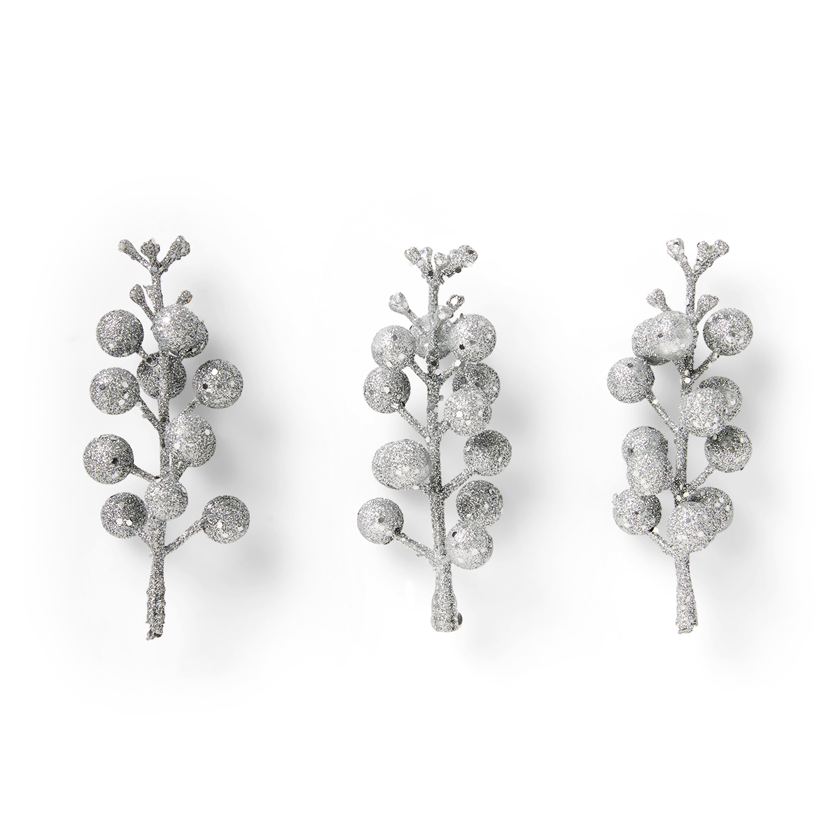 Decoration. Silver berries