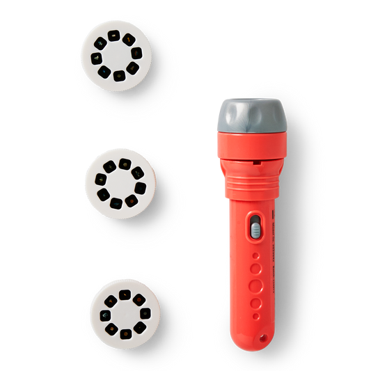Projector torch