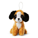 Teddy