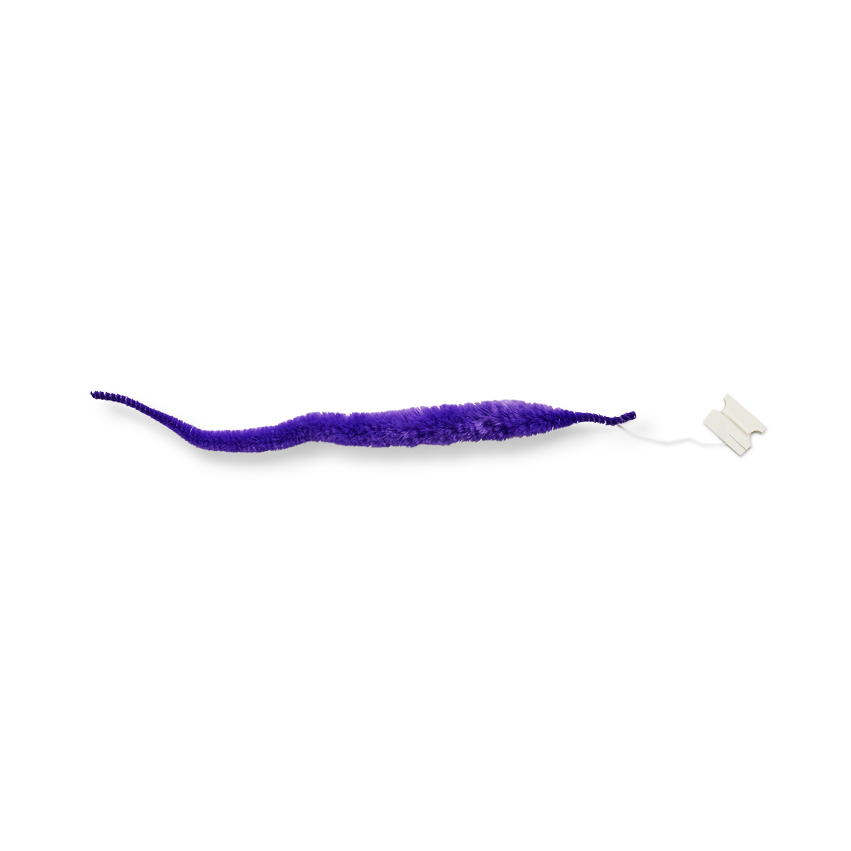Spiralförmiger Wurm