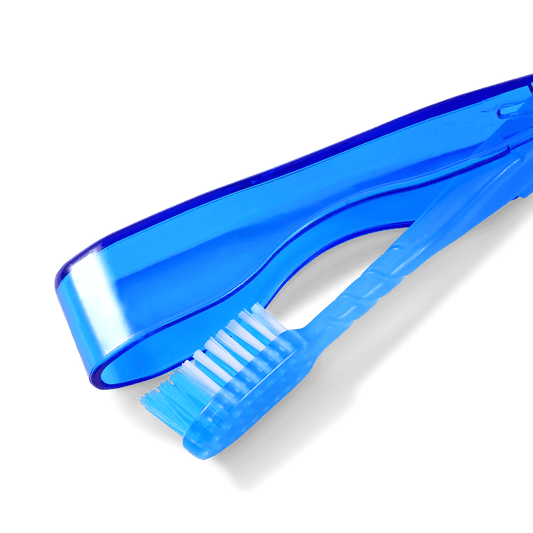 Toothbrush Travel Test