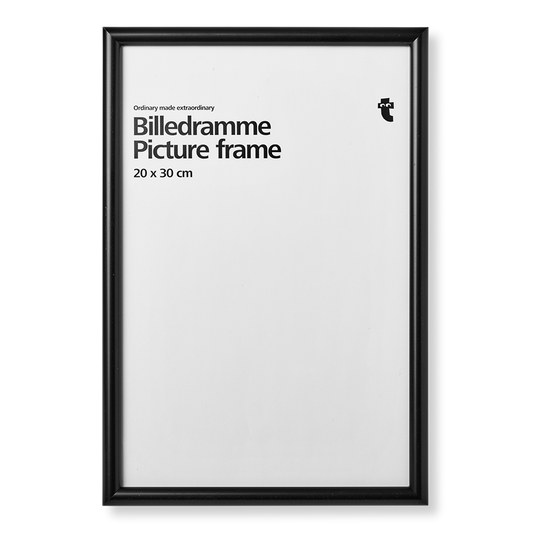 Picture frame