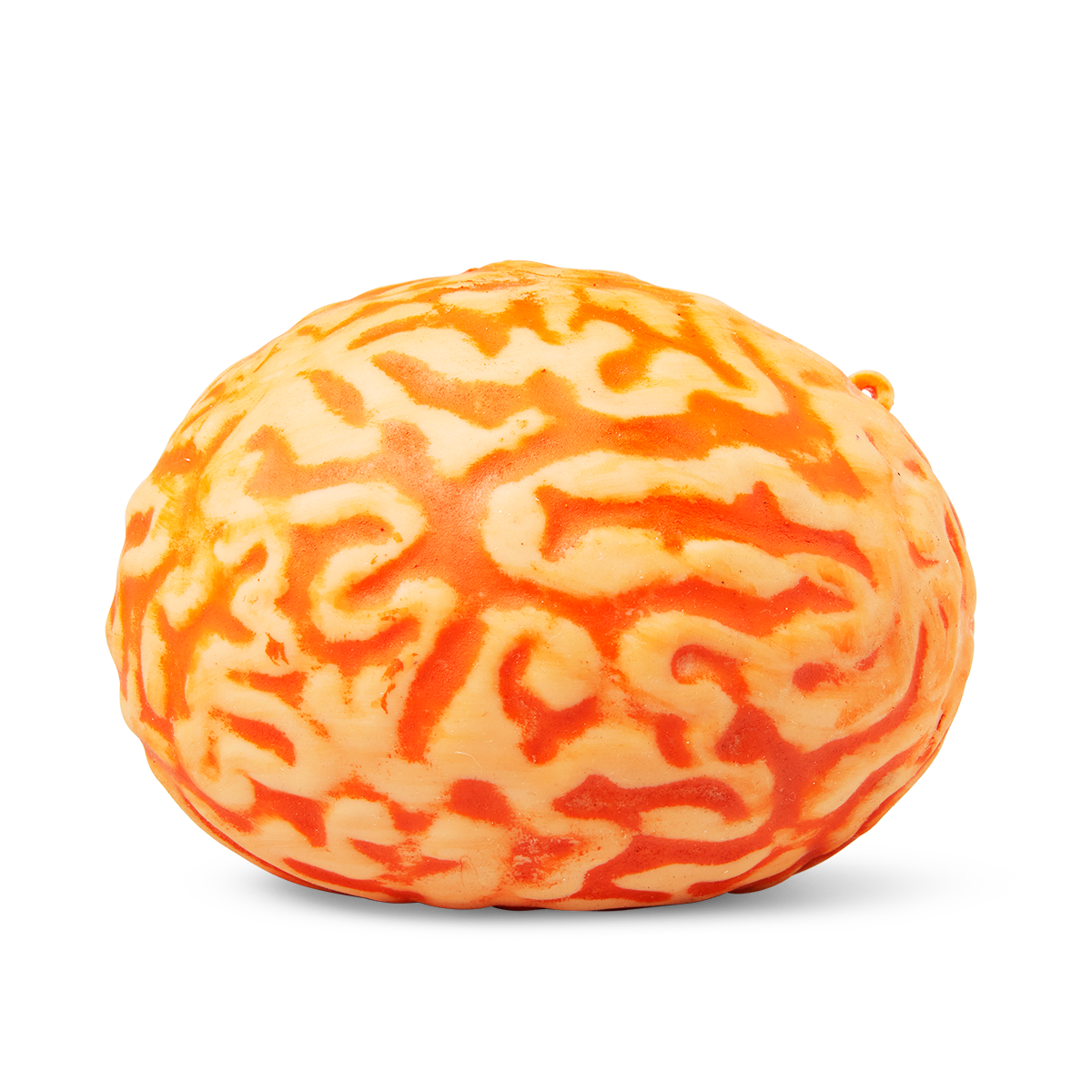 Brain