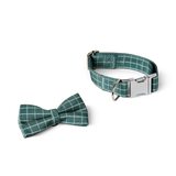 Dog collar set