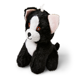 Teddy
