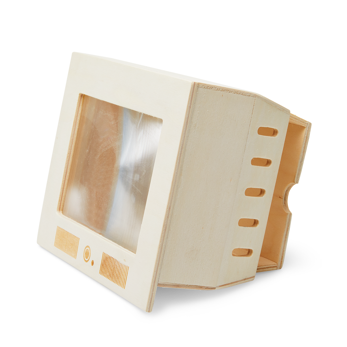 Smartphone TV
