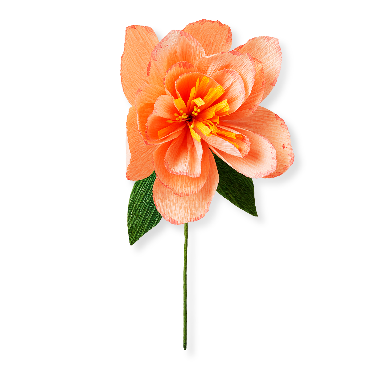 Forever flower