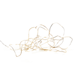 Light chain