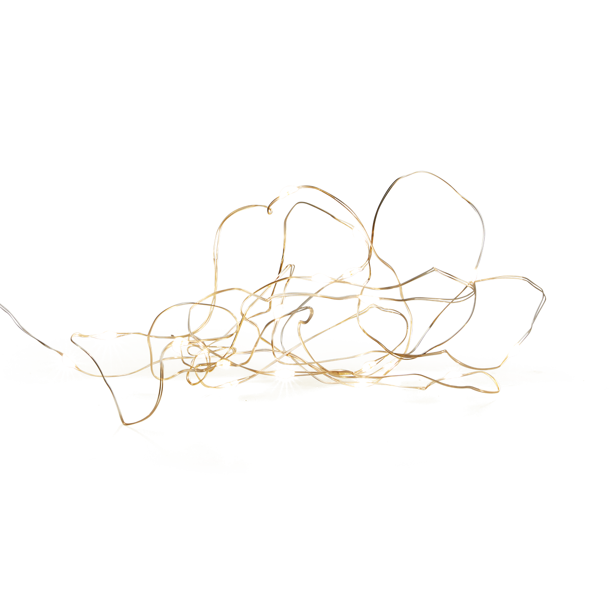 Light chain