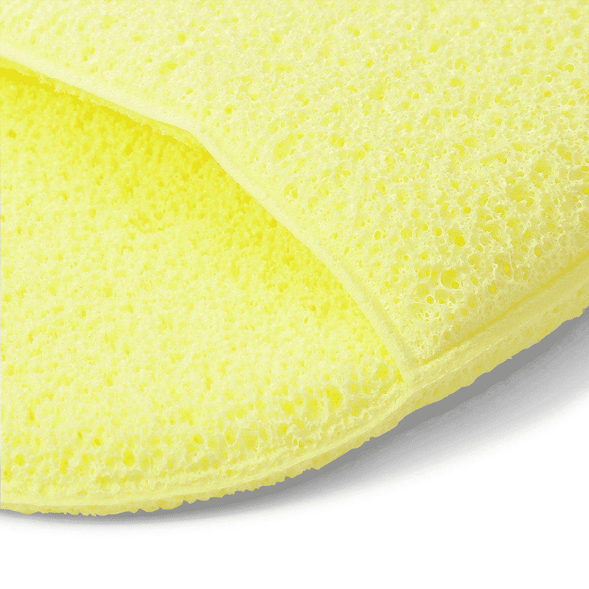 Exfoliating sponge