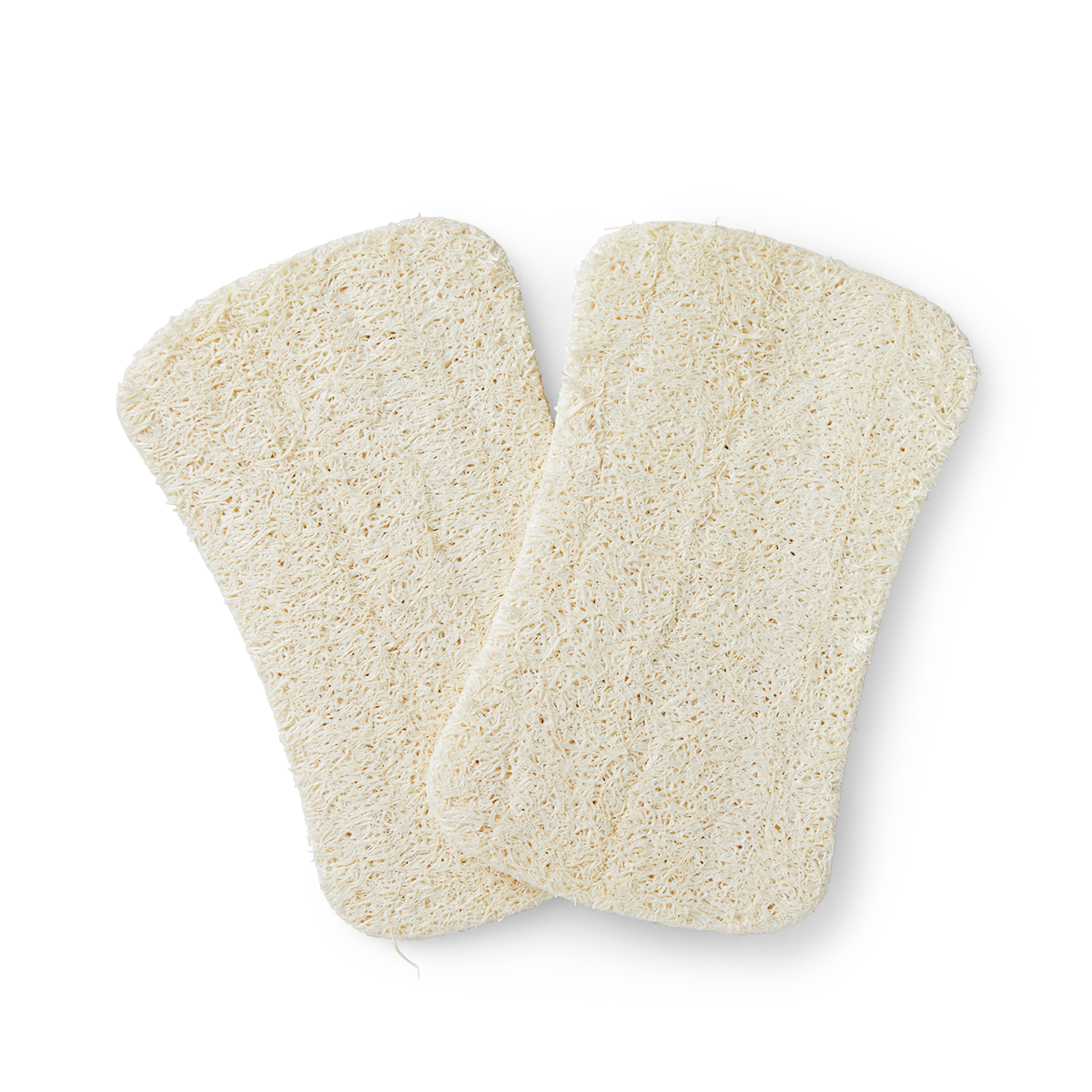 Loofah-svampe