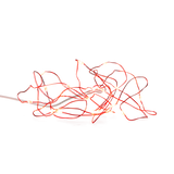 Light chain