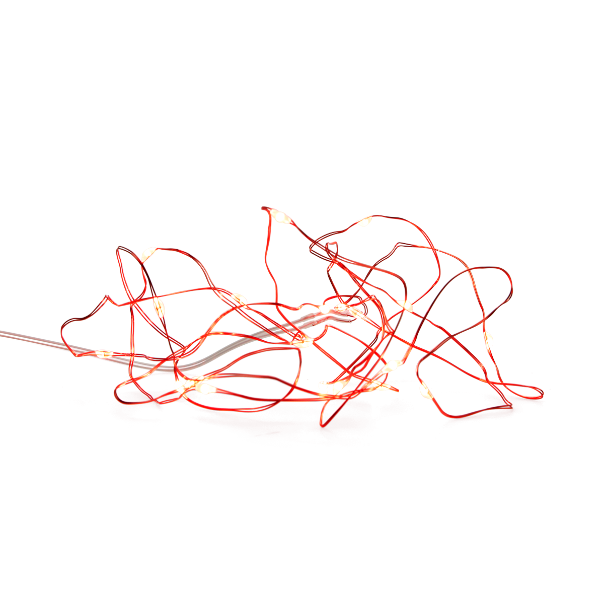 Light chain