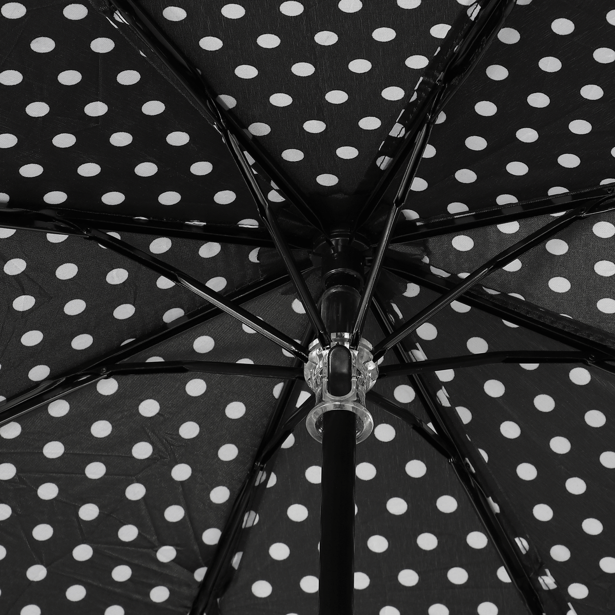 Umbrella with dots design