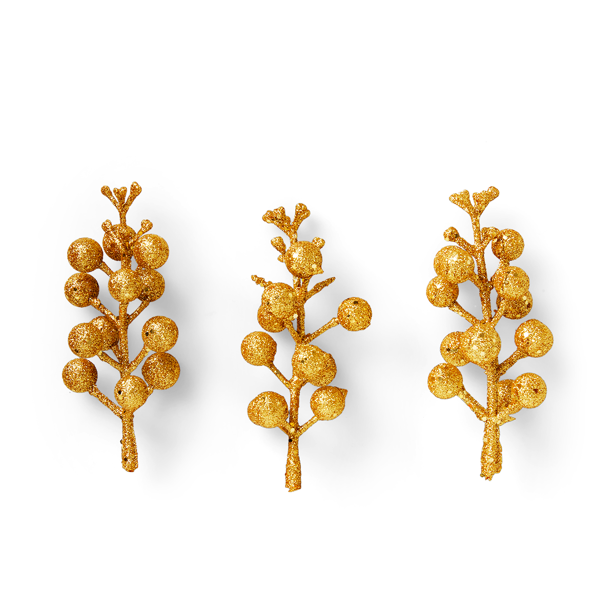 Decoration. Golden berries