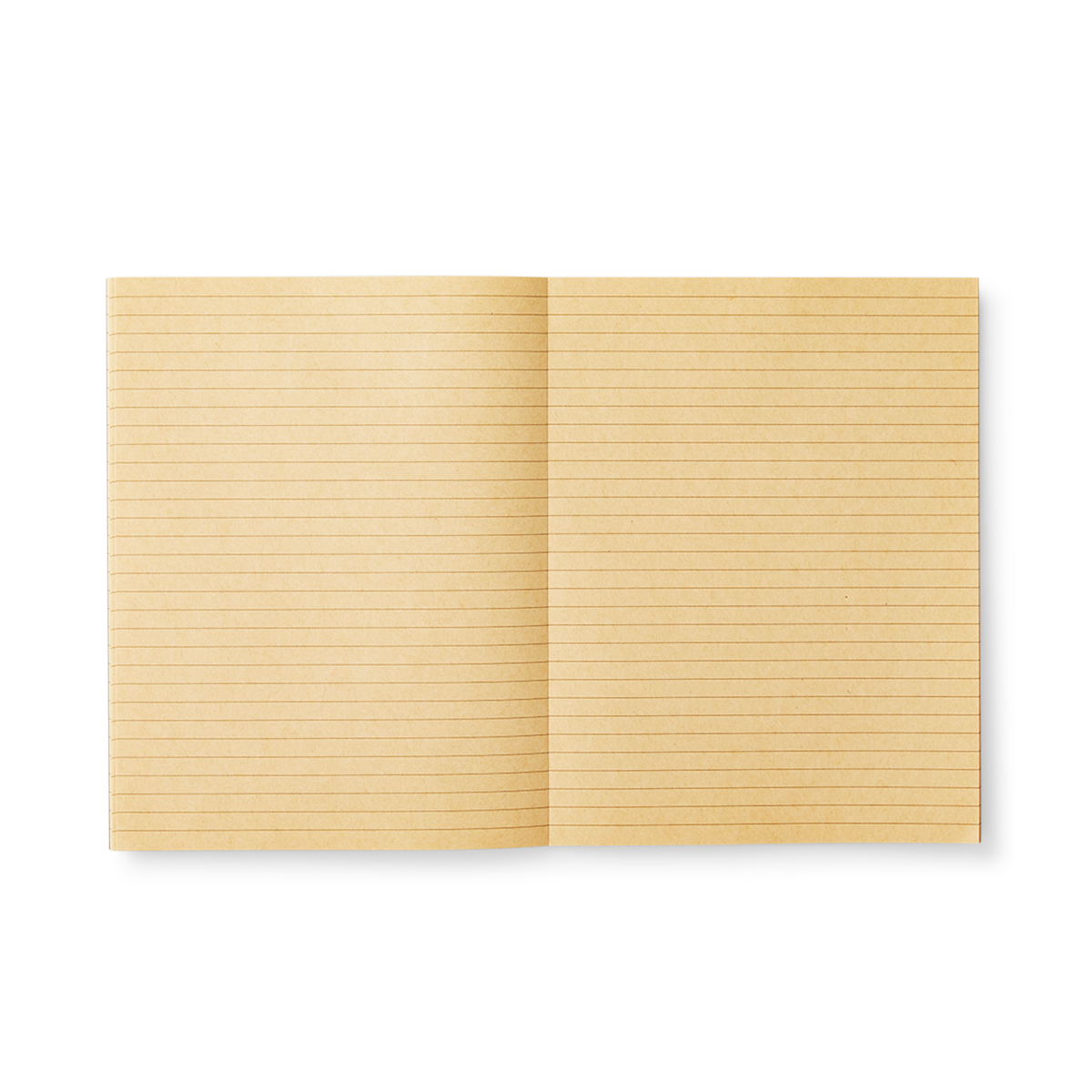 Notebook. 25 cm