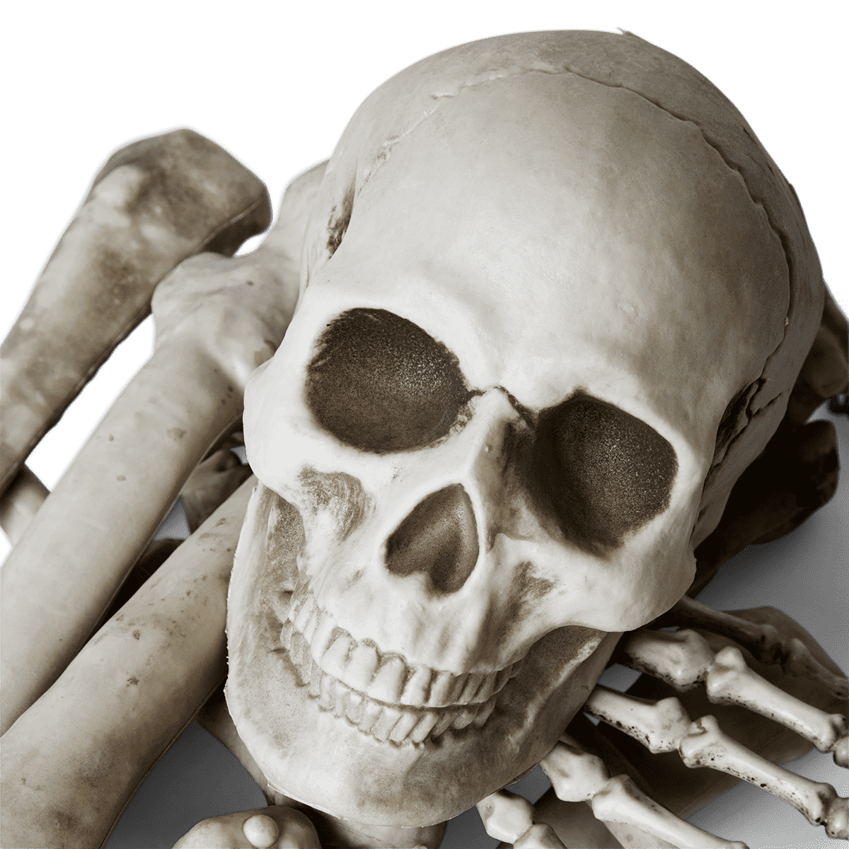 Skeleton set - DEV - Flying Tiger Copenhagen