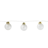 Light chain