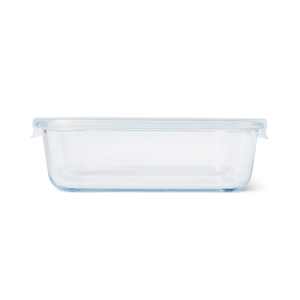 Lunch box. Large