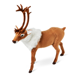 Reindeer