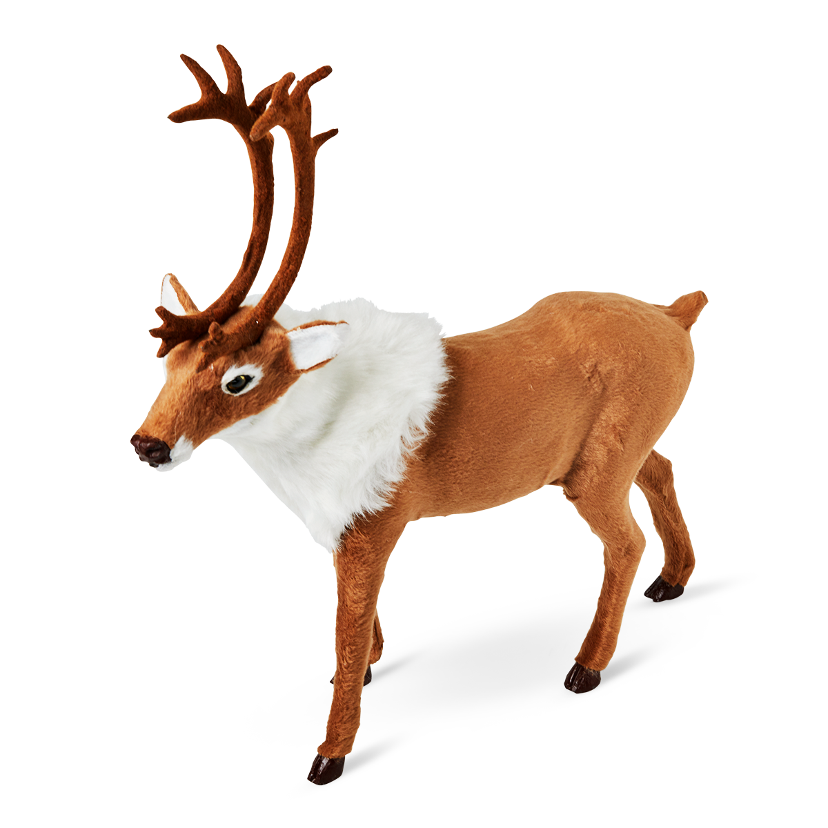 Reindeer