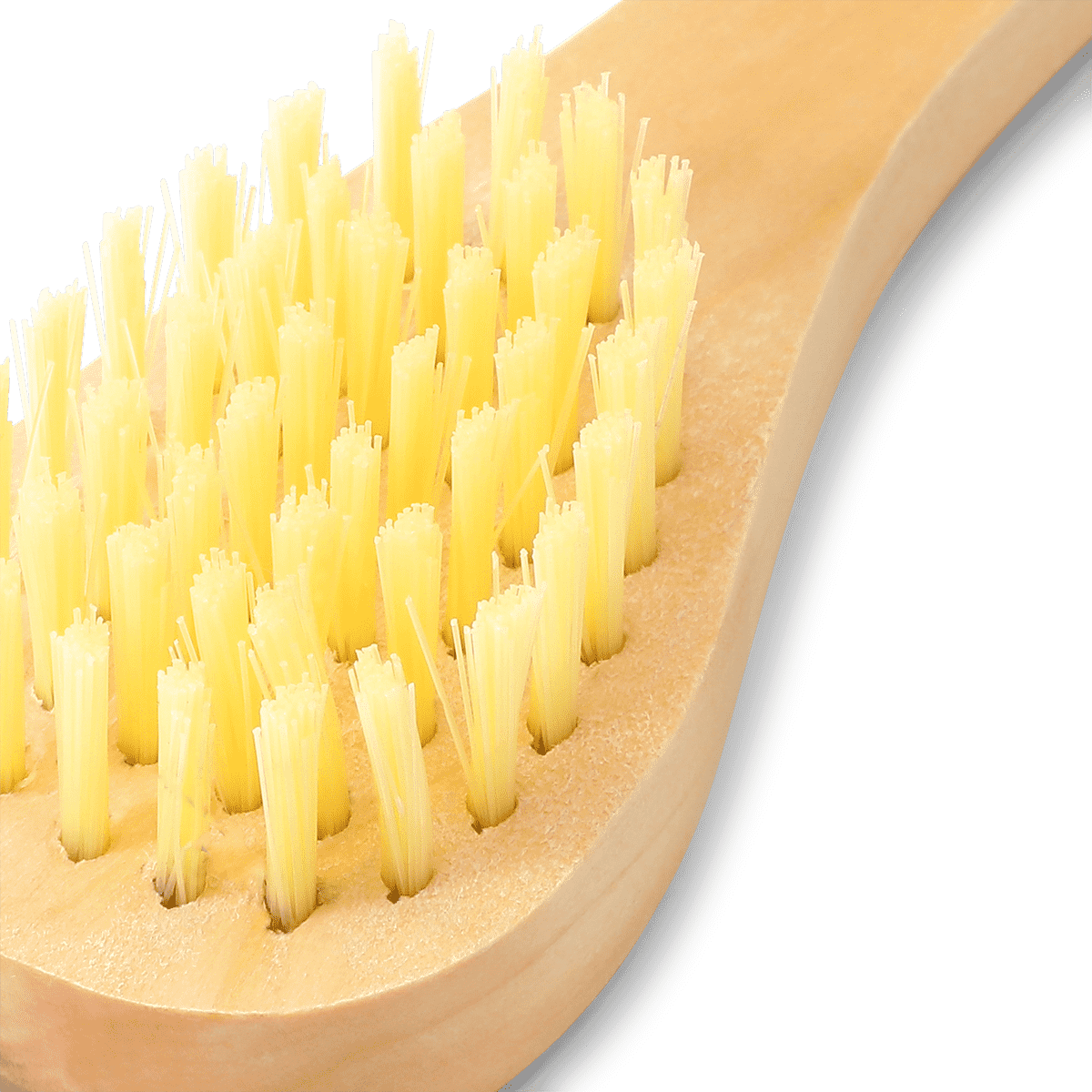 Dry brush. 13 cm