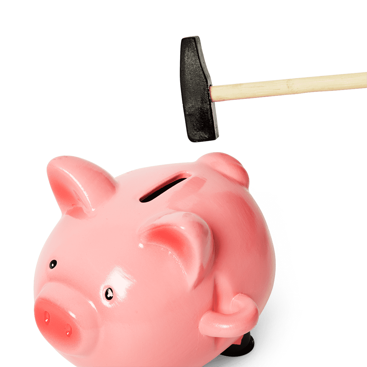 Piggy bank - DEV - Flying Tiger Copenhagen
