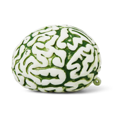Dinosaur brain