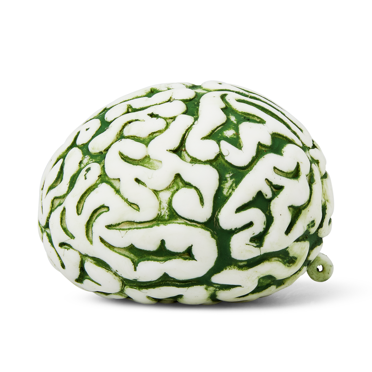 Dinosaur brain