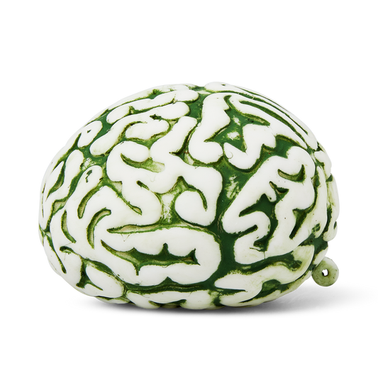 Dinosaur brain