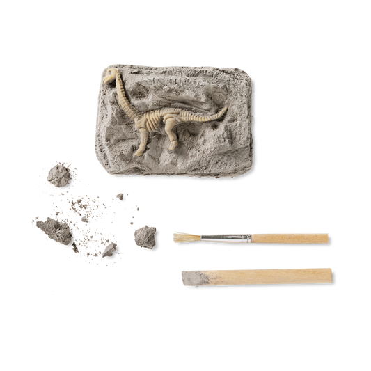 Excavation kit