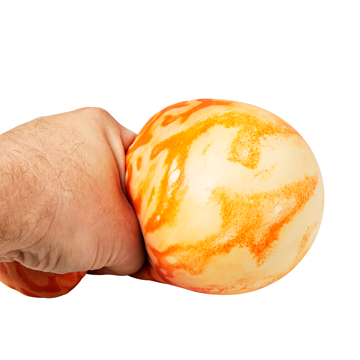 Brain