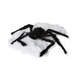 Cobweb