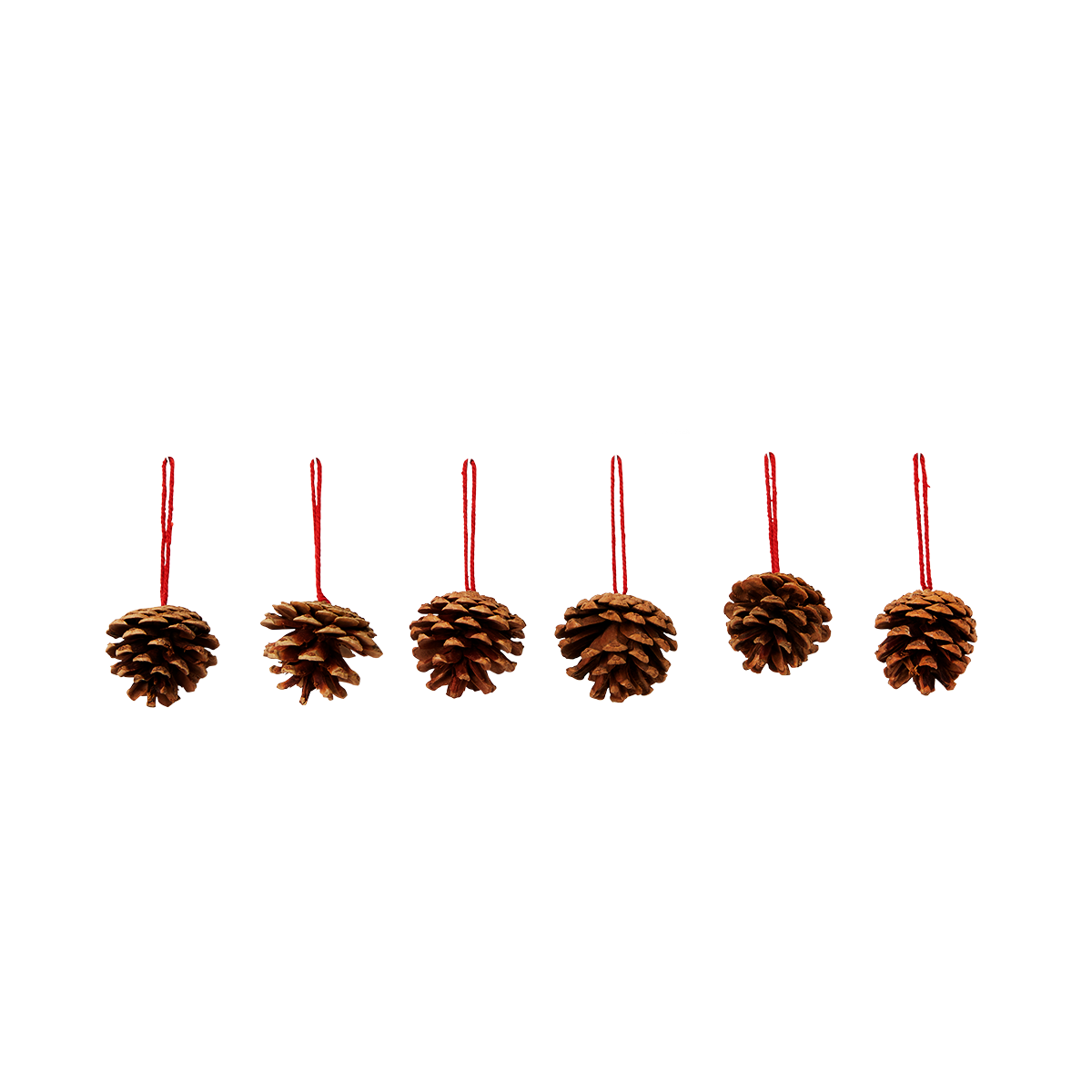 Decorative pines